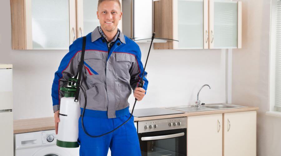 Professional 24 hour pest control services in Pacoima